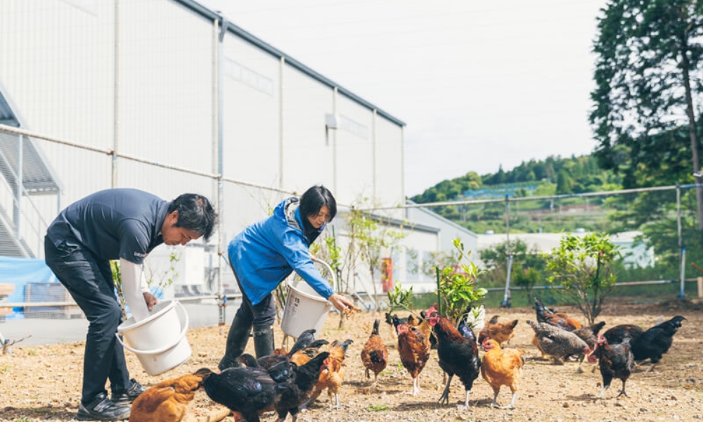 株式会社ウラノ