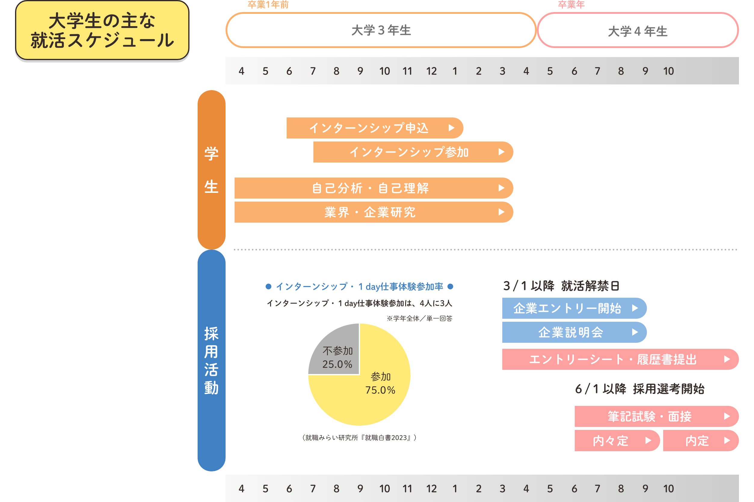 大学生の主な就活スケジュール